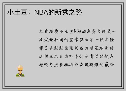 小土豆：NBA的新秀之路