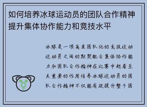 如何培养冰球运动员的团队合作精神提升集体协作能力和竞技水平